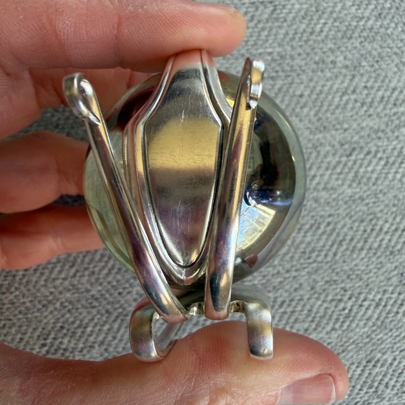 Marble Fork Snail - Picture 6 of 10